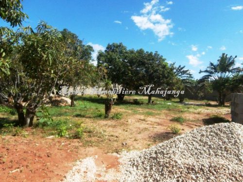 Mahajanga Belobaka vente terrains