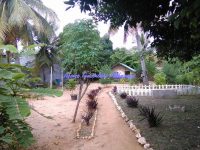 www.mahajanga-immobilier.com1